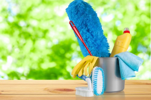 House cleaning in Bow with a tidy living room and fresh surfaces