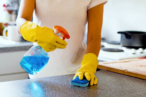Deep cleaning and end of tenancy cleaning in Bow