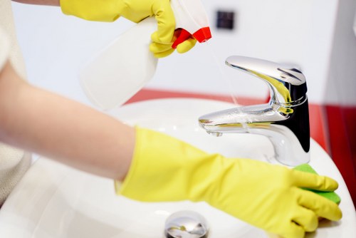 Bow cleaning service homepage illustration