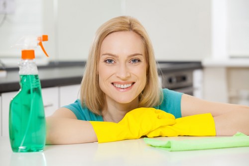 Professional cleaners in Bow providing home cleaning services