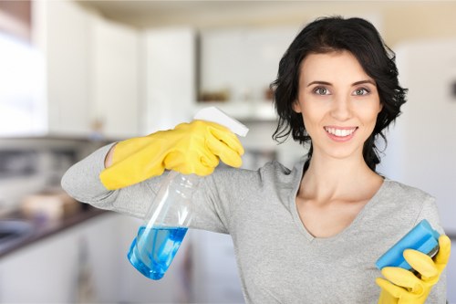 Example of load-based Bow Cleaner quote for a home cleanup