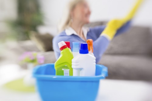 Bow Cleaner commitment to resolving accessibility barriers and user needs