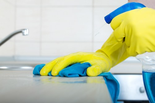 Governing law and final agreement section for Bow Cleaner terms