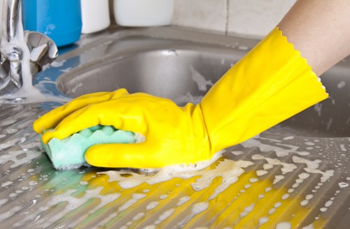 Bathroom sanitising as part of domestic cleaning in Bow