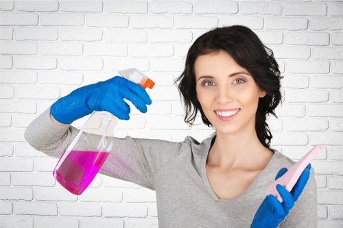 Domestic and house cleaning services in Bow