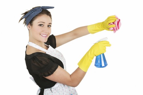 Deep cleaning and oven cleaning support in Bow